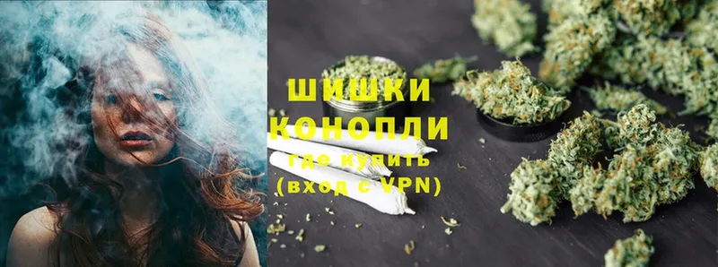 Бошки марихуана SATIVA & INDICA  Сясьстрой 